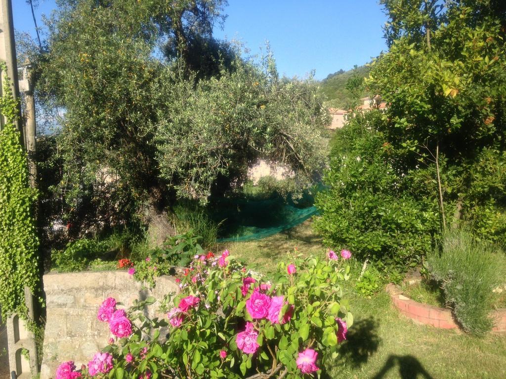 Hotel Les Calanques Пьяна Номер фото